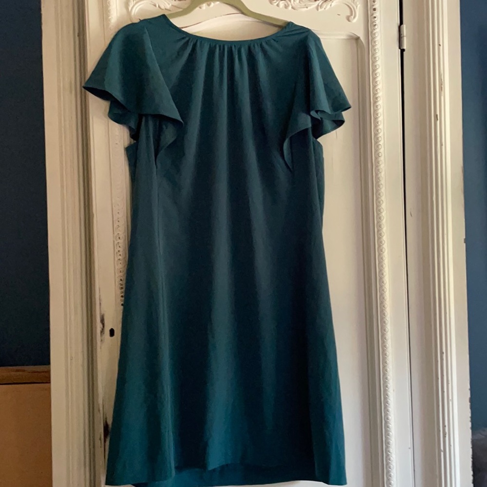 Loft ruffle sleeve dress